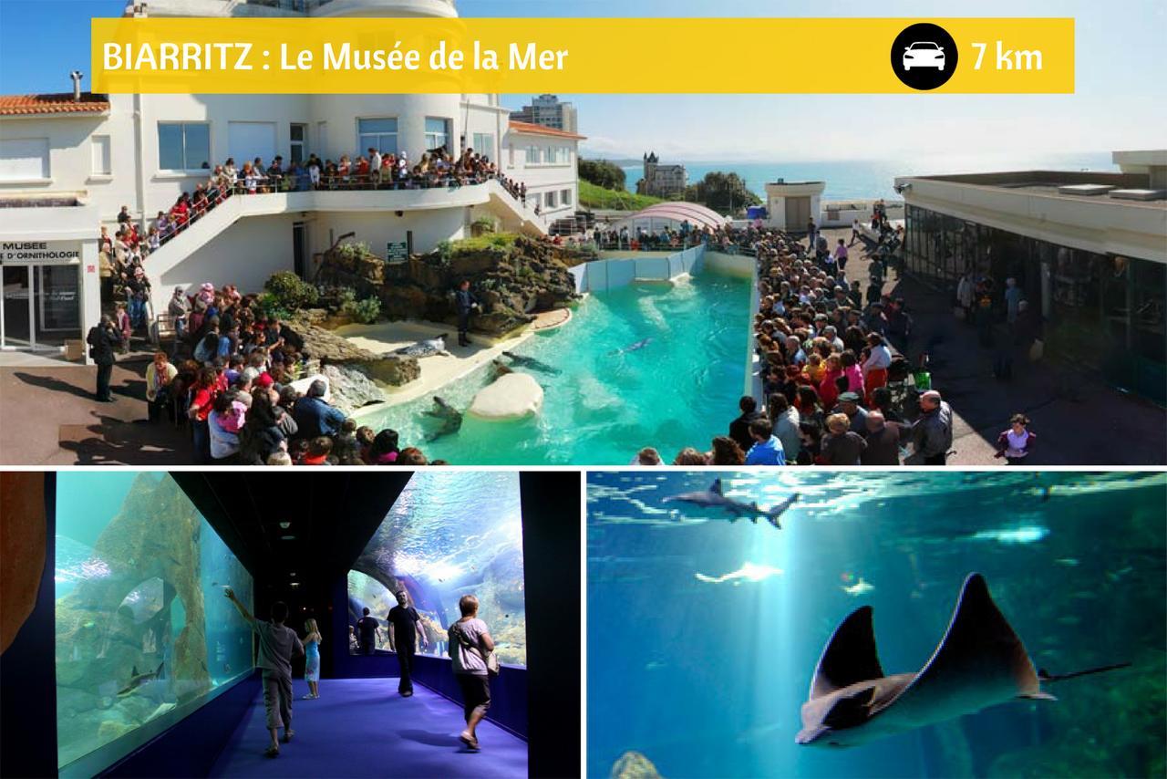 Lodge Mendia Anglet Bagian luar foto